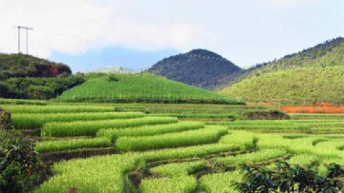 Ruộng bậc thang Mù Căng Chải - Yên Bái