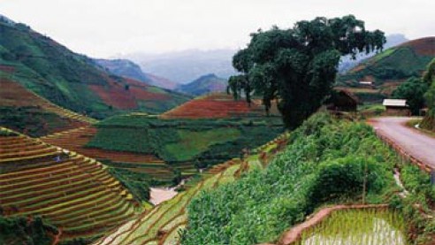 Ruộng bậc thang Mù Căng Chải - Yên Bái